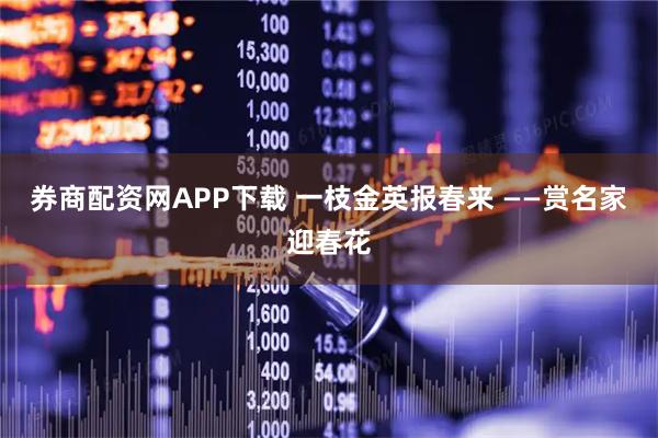 券商配资网APP下载 一枝金英报春来 ——赏名家迎春花